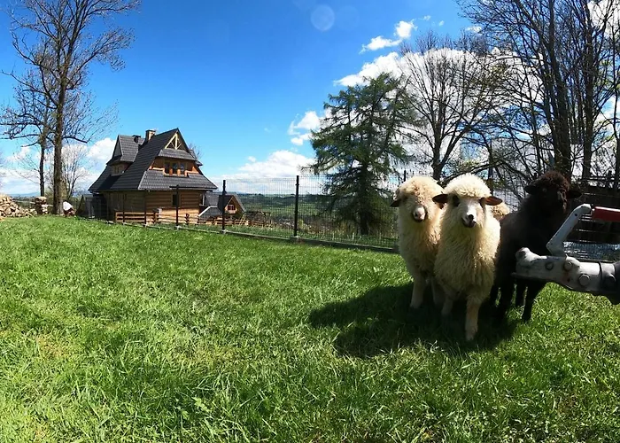 شاليه Galicowka Na Gorce *